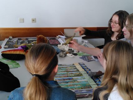 Zum Artikel "Girls‘ Day 2025 an der naturwissenschaftlichen Fakultät: Ein Tag voller Entdeckungen!"